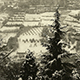 bergamo snow drops